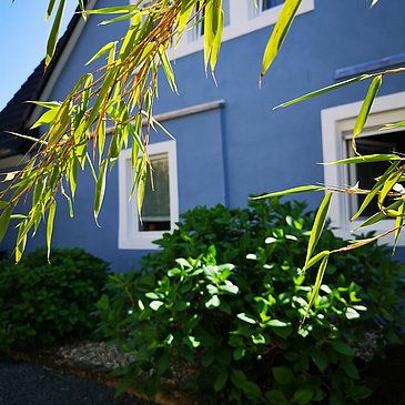 Das blaue Haus