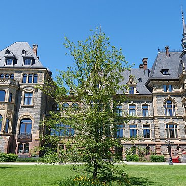 Schloss Lieser