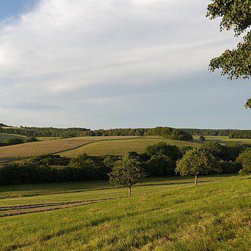Wiesenlandschaft im Hunsrück