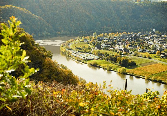 Minheim an der Mosel