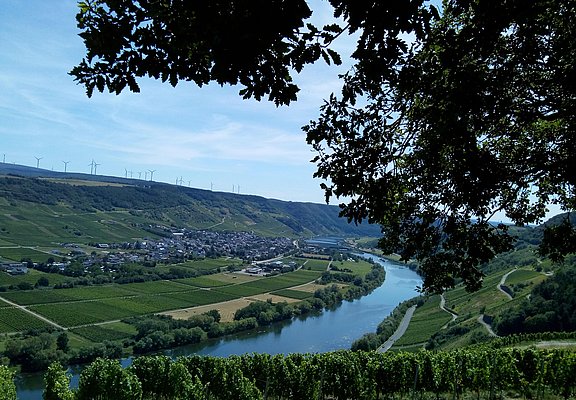 Aussicht auf Wintrich