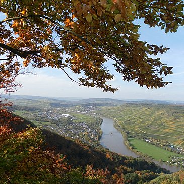 Ausblick "Wilhelmshöhe"