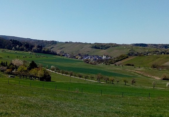 Weinbaugemeinde Burgen