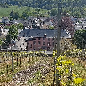 Schloss Dreis vom Weinberg aus