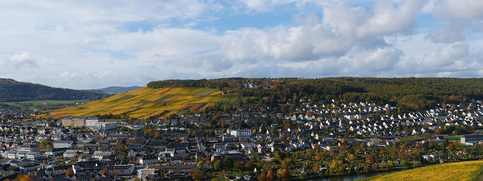 Weinberge über Bernkastel-Kues
