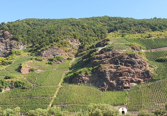 Blick auf die Weinberge gegenüber von Erden