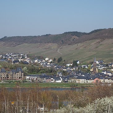Ausblick vom Helenkloster auf Lieser