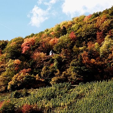 Spoar-Kapelle in den Weinbergen