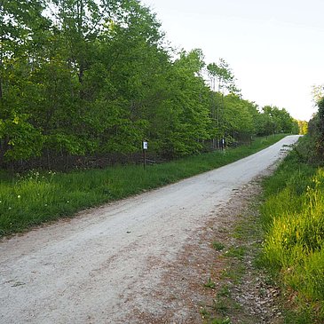 Infotafeln - ca. auf dem Mitte des Wanderweges