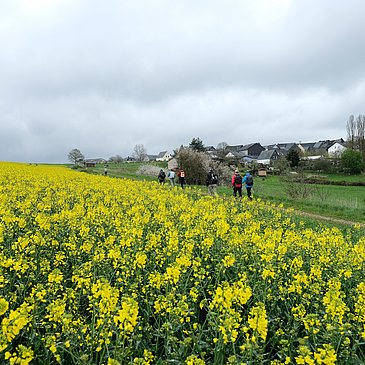 Hunsrücklandschaft bei Fronhofen