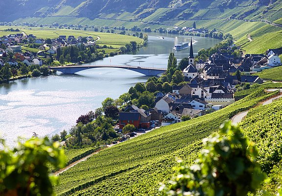 Blick auf Alt Piesport