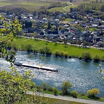 Brauneberg vom Jufferweg