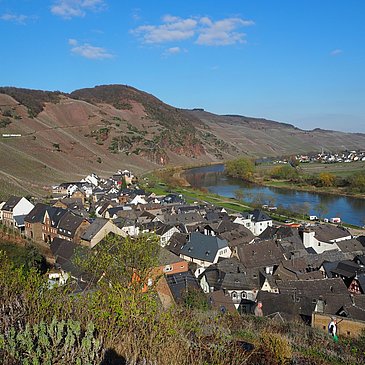 Blick auf die Weinlage "Ürziger Würzgarten" im Frühjahr