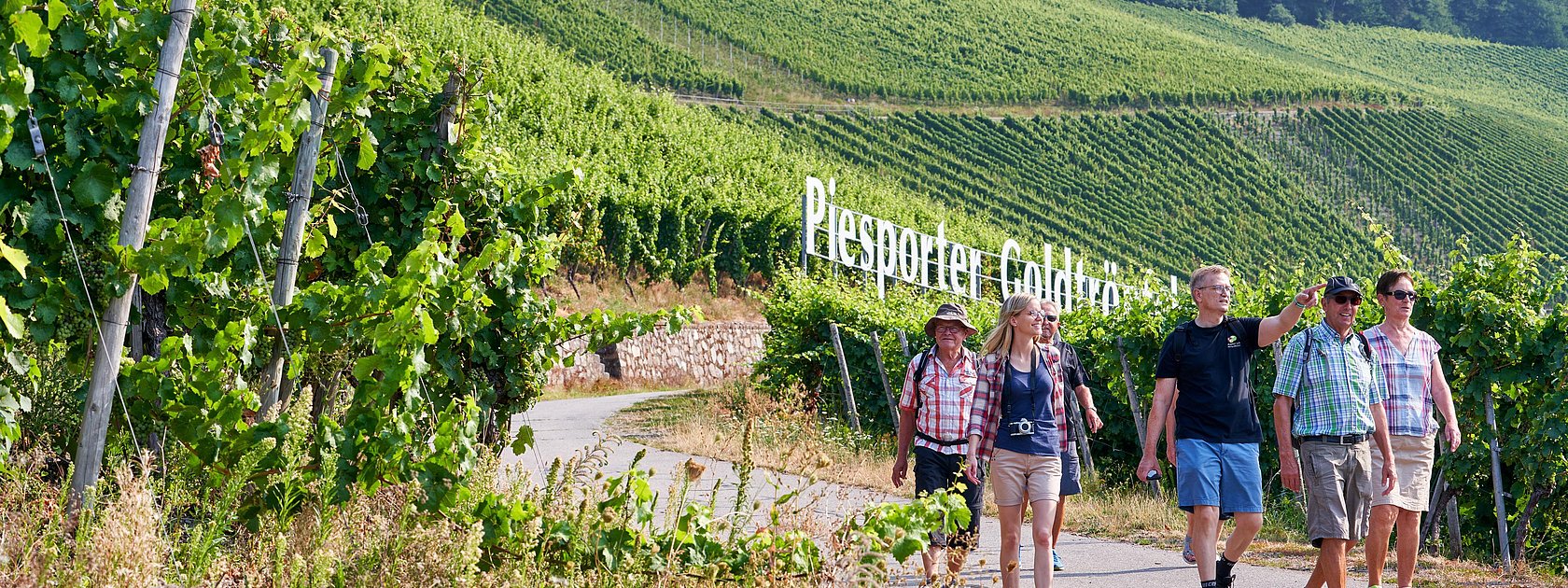 Wandergruppe Piesport