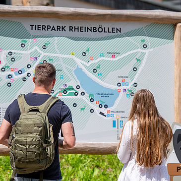 Das Bild zeigt eine Frau und einen Mann, die vor dem Übersichtsplan des Tierparks Rheinböllen stehen.