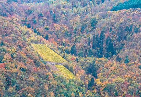 Herbstliches Ambiente im Moselurlaub