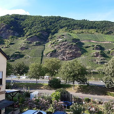 Wein- und Gästehaus Kaufmann-Schneider Ausblick