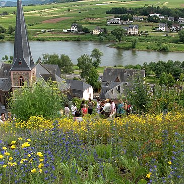 Führung durch den Gewürz & Rosengarten