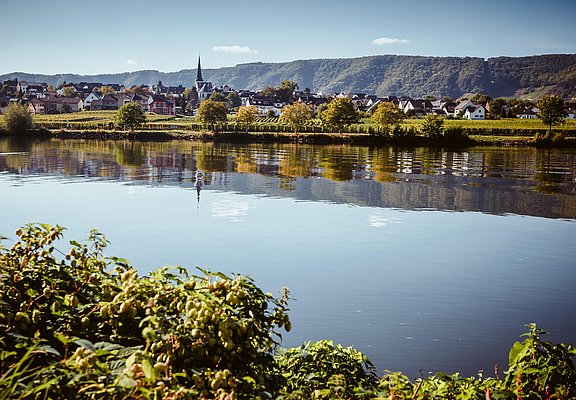 Piesport an der Mosel