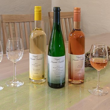 Gästehasu Hammes-Diedrich_Wein