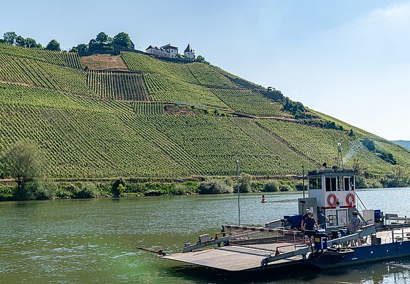 Fähre in Pünderich