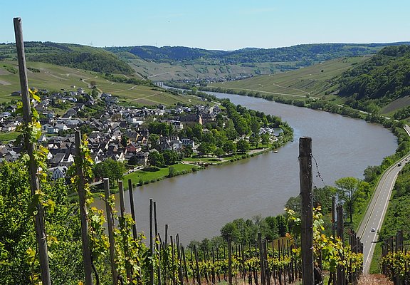 Aussicht auf Neumagen-Dhron