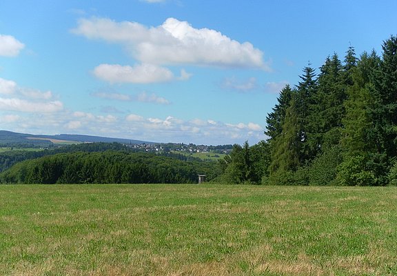 Hunsrück-Weitblick am "Bernkasteler Bärensteig"