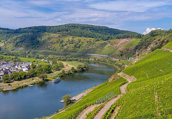 Blick auf den Weinort Pünderich und das Eisenbahnviadukt
