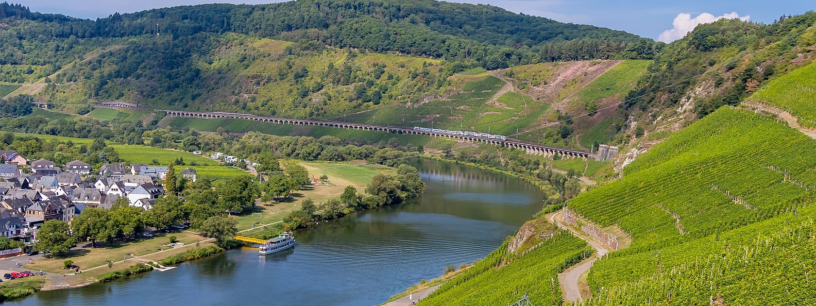 Blick auf den Weinort Pünderich und das Eisenbahnviadukt