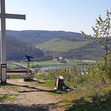 Aussichtspunkt oberhalb von Zeltingen-Rachtig