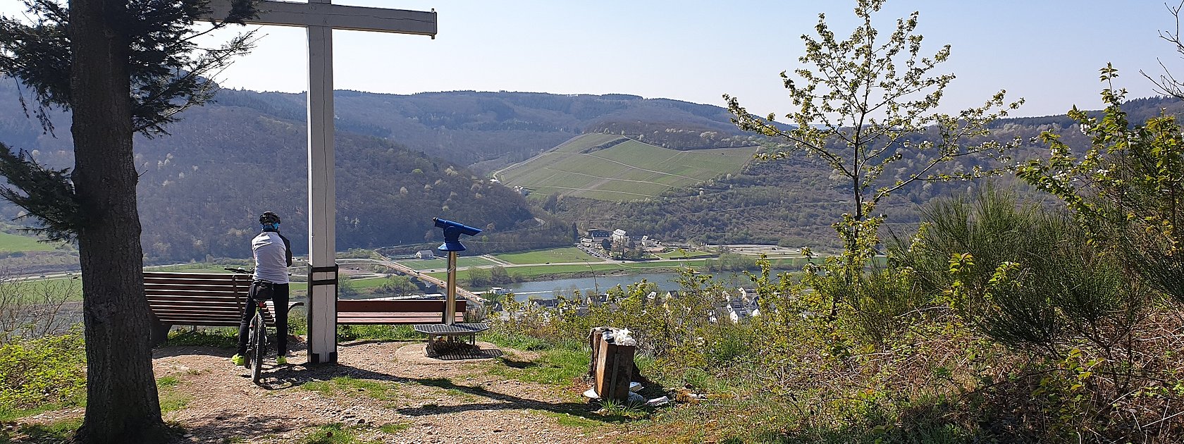 Aussichtspunkt oberhalb von Zeltingen-Rachtig