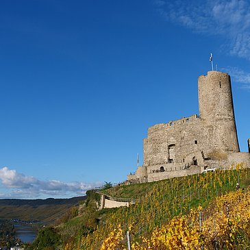 Burg Landshut