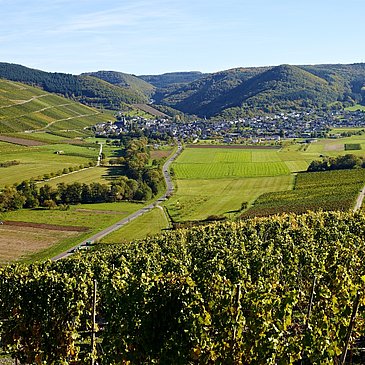 Veldenz