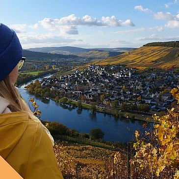 Herbstwanderung an der Mosel - Familien-Rundweg