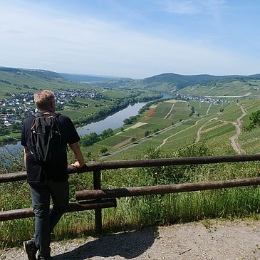 Ausblick auf die Weinberge und die Mosel