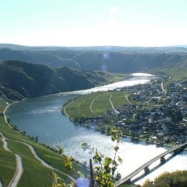 Moselloreley