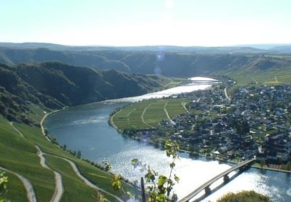 Moselloreley