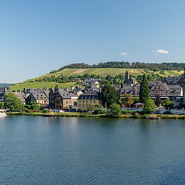 Blick auf Traben Trarbach vom Mosel-Radweg