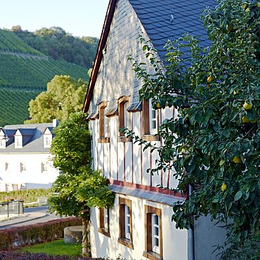 Fachwerkhäuser in Burgen