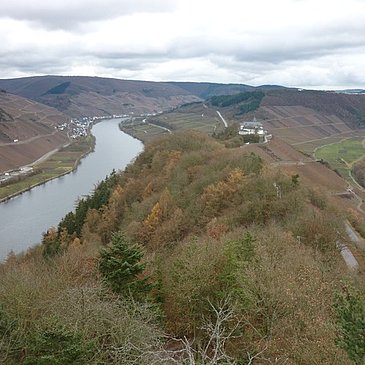 Blick vom Aussichtsturm Prinzenkopf auf die Marienburg