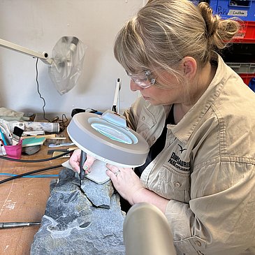 Das Bild zeigt eine Paläontologin, die mithilfe einer Lupe und Werkzeugen an Fossilien arbeitet.