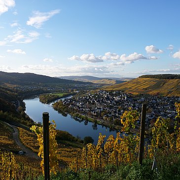 Ausblick von der Burg in Richtung Kues