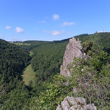 Goldenes Kreuz am Moselsteig Seitensprung "Bernkasteler Bärensteig"