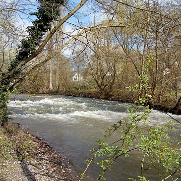 Stromschnellen im Lieserbach bei Maring