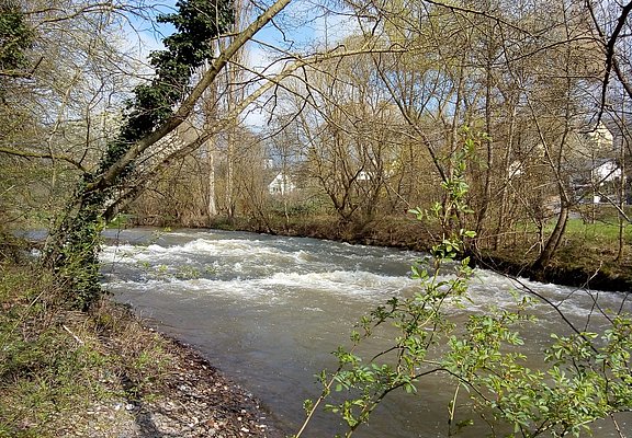 Stromschnellen im Lieserbach bei Maring