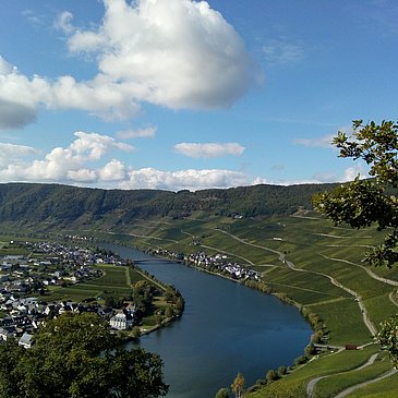Blick vom Donatus auf die Piesporter Moselschleife