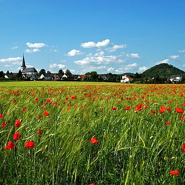 Felderlandschaft entlang des Weges