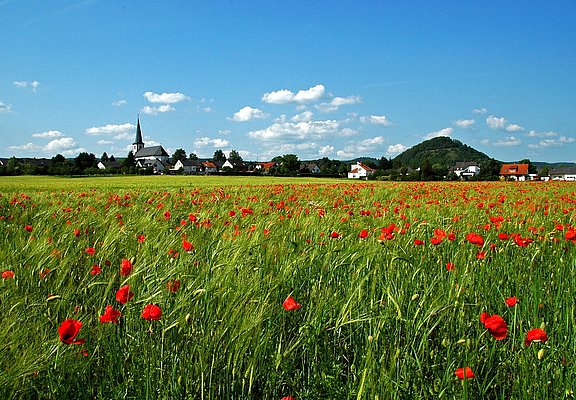 Felderlandschaft entlang des Weges