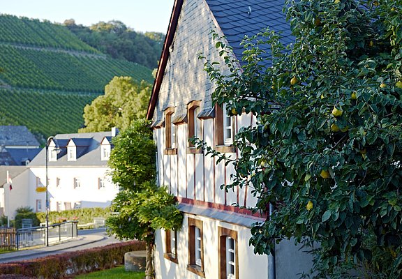 Fachwerkhaus in Burgen