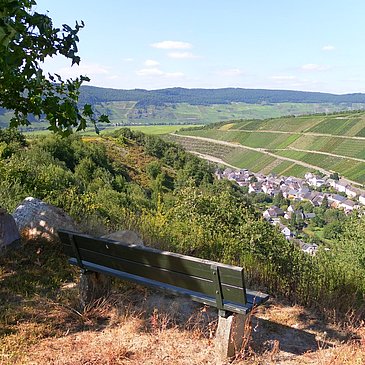 Blick auf Neumagen-Dhron